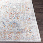 Lenox Traditional Light Gray Area Rug