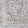 Lenox Traditional Light Gray Area Rug