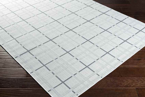 Spekklef Cottage Light Gray Area Rug