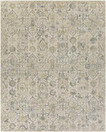 Trent Traditional Beige Area Rug