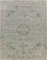 Trimpert Traditional Sage Area Rug