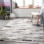 Udenhout Rustic Light Gray Area Rug