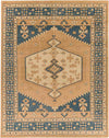 Veen Traditional Burnt Orange Area Rug