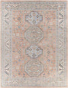 Fribourg Traditional Coral Area Rug