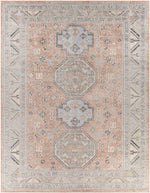 Fribourg Traditional Coral Area Rug