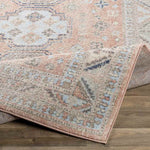 Fribourg Traditional Coral Area Rug