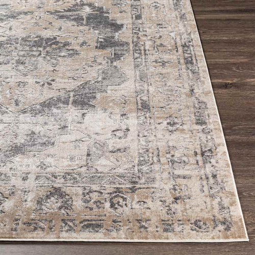 Vinkel Traditional Brown Area Rug