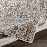 Vlierden Traditional Medium Gray Area Rug