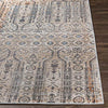 Vlierden Traditional Medium Gray Area Rug