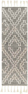 Aroma Park Global Charcoal Area Rug