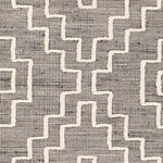 Aroma Park Global Charcoal Area Rug