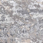 Oudekerk Modern Light Gray Area Rug
