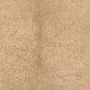 Schafelt Rustic Cream Area Rug