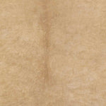 Schafelt Rustic Cream Area Rug
