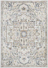 Barlage Traditional Brown Area Rug