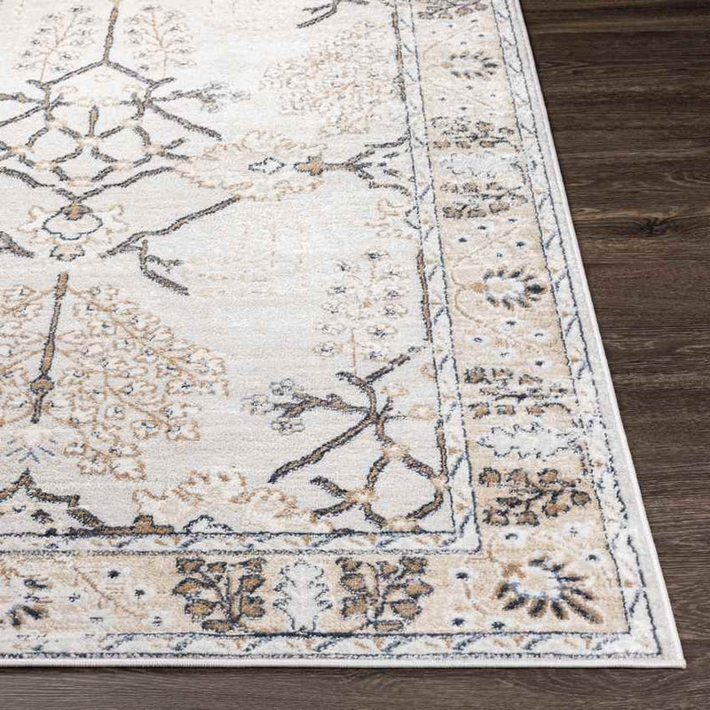 Beswerd Traditional Brown Area Rug
