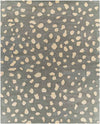 Sanremo Modern Gray Area Rug