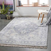 Delfzijl Traditional Pale Blue Area Rug