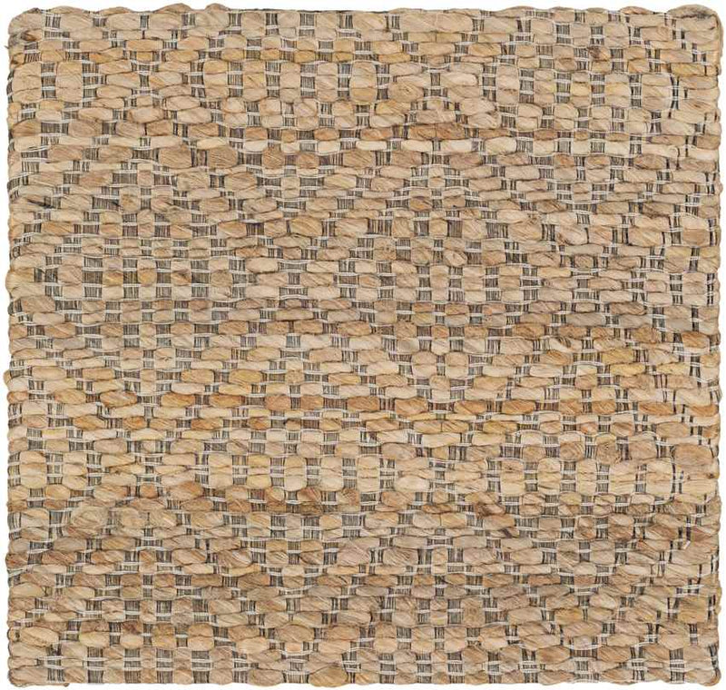 Ewer Modern Camel Area Rug