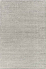 Hefswal Modern Medium Gray Area Rug