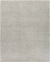 Hefswal Modern Medium Gray Area Rug