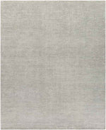 Hefswal Modern Medium Gray Area Rug