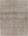 Hoogkerk Traditional Olive Area Rug