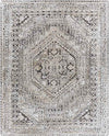 Lutjegast Traditional Beige Area Rug