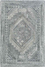 Lutjegast Traditional Silver Gray Area Rug