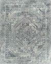 Lutjegast Traditional Silver Gray Area Rug