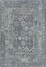 Lutjerijp Traditional Silver Gray Area Rug