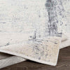 Polen Modern Medium Gray Area Rug
