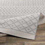 Ruigezand Global Ivory Area Rug