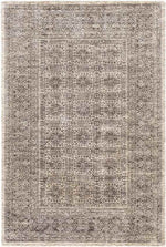 Woltersum Traditional Brown Area Rug