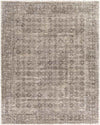 Woltersum Traditional Brown Area Rug