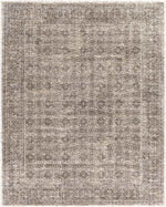 Woltersum Traditional Brown Area Rug