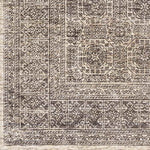 Woltersum Traditional Brown Area Rug