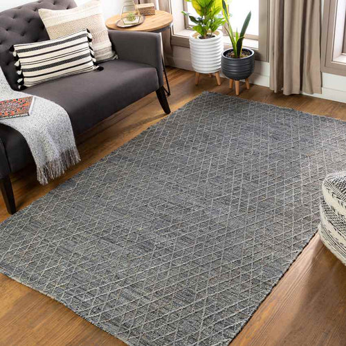 Zoutkamp Global Grey Area Rug