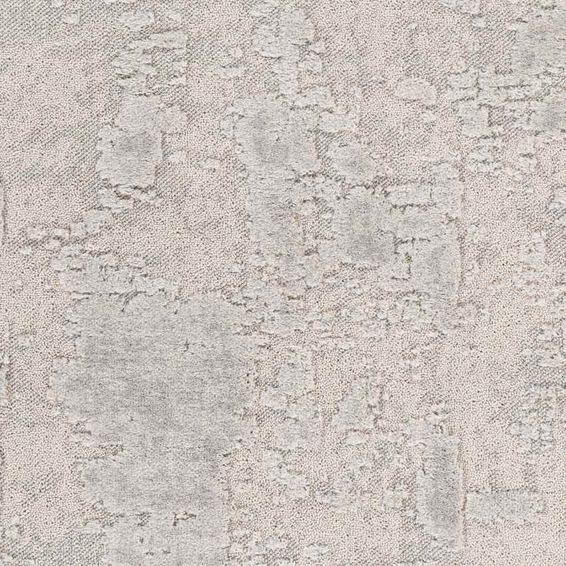 Zuurdijk Modern Grey Area Rug