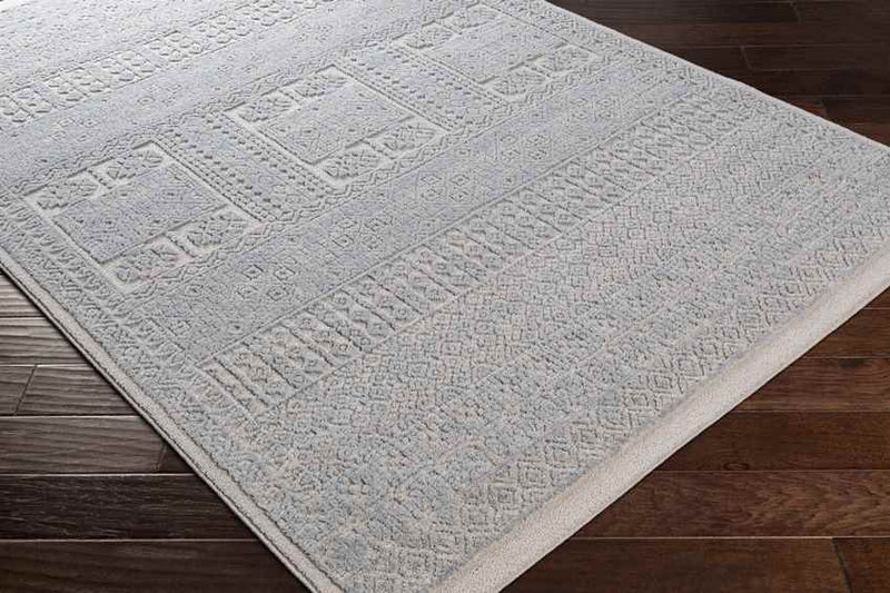 Acquoy Traditional Teal Area Rug