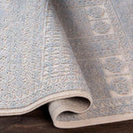 Acquoy Traditional Teal Area Rug