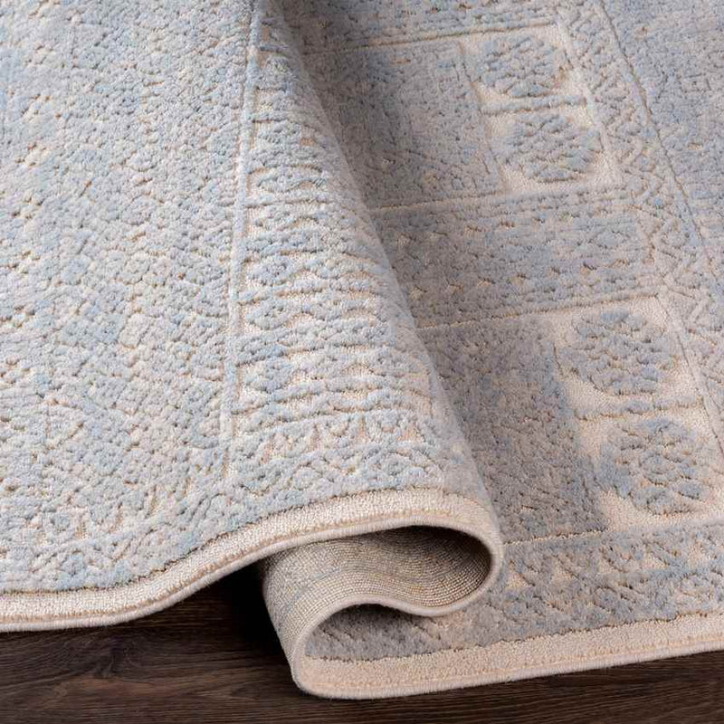 Acquoy Traditional Teal Area Rug