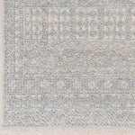 Acquoy Traditional Teal Area Rug