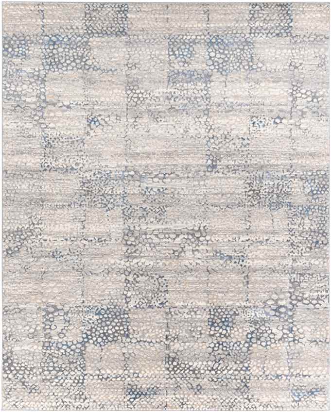 Aperloo Modern Medium Gray Area Rug