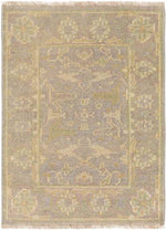 Ouwendorp Traditional Light Gray Area Rug