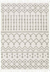Rocky Ripple Bohemian/Global Pale White Area Rug