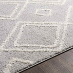 Rosedale Bohemian/Global Light Gray Area Rug