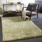 Mithat Modern Grass Green Area Rug