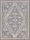 Danny Traditional Taupe Area Rug