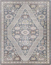 Danny Traditional Taupe Area Rug